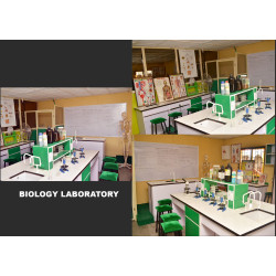 Biology Laboratory Furniture Set